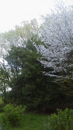 まきのがいけりょくち