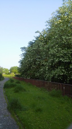 白沢渓谷　遊歩道