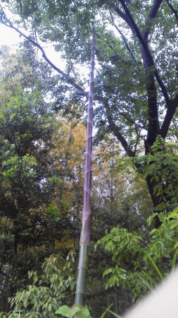 天まで届け、、